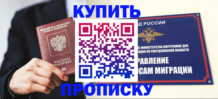 прописка для школы в Купино